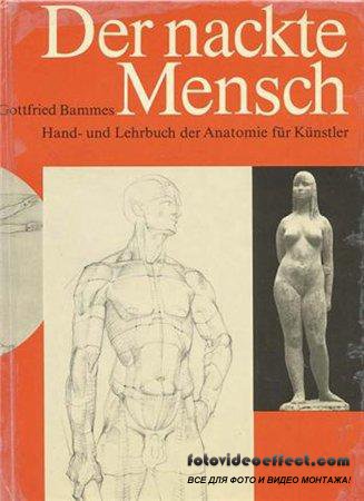 Gottfried Bammes (Der nackte Mensch)