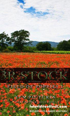 3R Stock - Poppy Field (1-2) 3R Stock - Poppy Field (1-2)