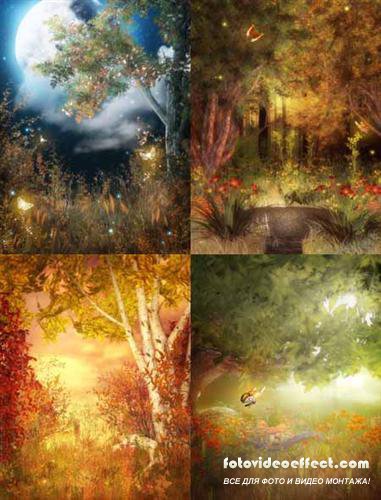 New Forest fairy tale (   -  )