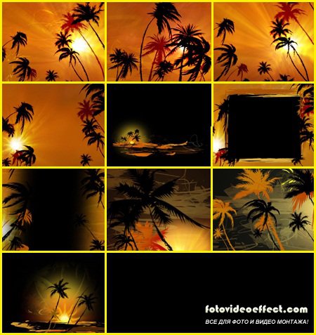 Editor`s Toolkit Pro 067 : Palm Paradise