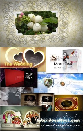 Wedding - Projects for After Effects