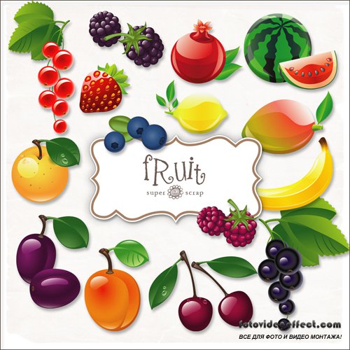 Scrap-kit - Fruit Illustrations