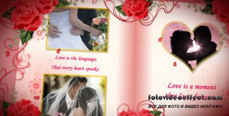 Videohive After Effects Project - Wedding Album Red Roses