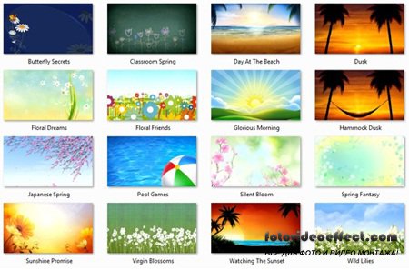 Animated Spring & Summer Canvases