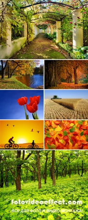Shutterstock Mega Collection vol.1 - Nature
