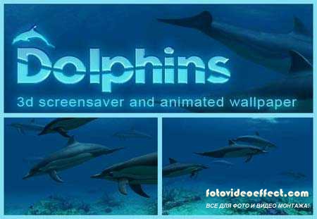 3D скринсейвер с веселыми дельфинами