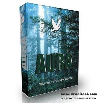 Aura 2.7.4t.163