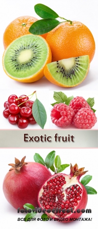 Stock Photo: Fruit and berries 9