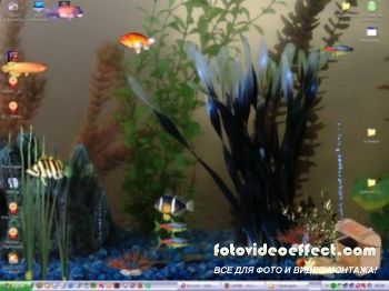 Stardock Aquarium Desktop v2.0