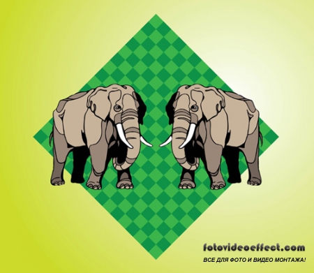 Vector Elephants