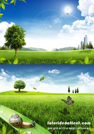 Sources - A beautiful summer nature