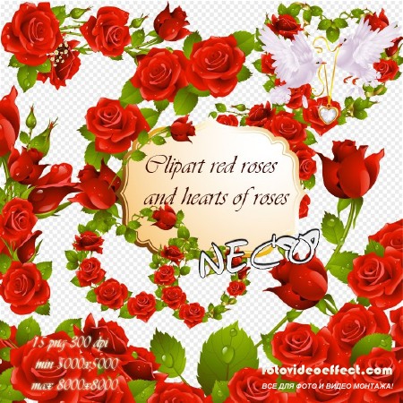 Clipart red roses -        PNG
