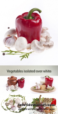 Stock Photo: Mushrooms, garlic and pepper (vegetables) on a white background