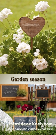 Stock Photo:Garten saison