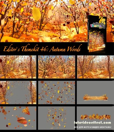 Editor`s Themekit 46: Autumn Woods