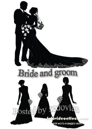 Bride and groom Vector