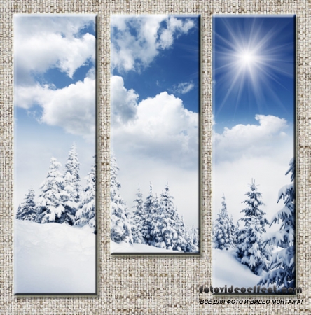 Triptyches, Fourplex - Beautiful winter in the wood