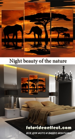 Triptyches, Fourplex - Night beauty of the nature