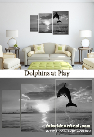 Triptyches, Fourplex - Dolphins at Play