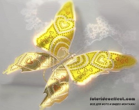 Gold butterfly (HD -)