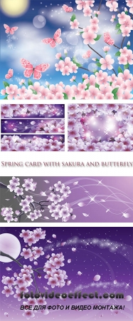  Stock: Spring card with sakura and butterfly