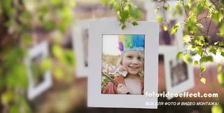 Photo Gallery on a Sunny Afternoon - After Effects Project (Videohive)
