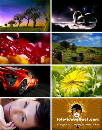 Amazing Wallpapers -    - Pack 123