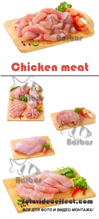 Chicken meat /   - Photo stock