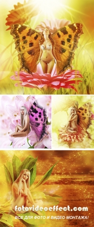 Stock Photo: Fairy with wings on a flower