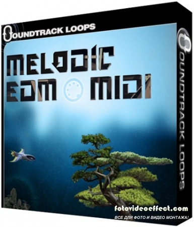 Soundtrack Loops Melodic EDM MIDI SCD-DISCOVER