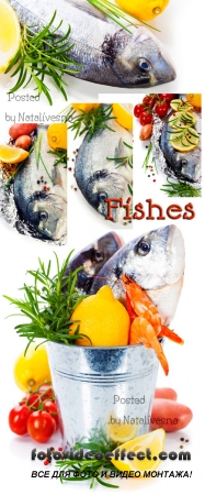    / Fish with a lemon - Stock photo
