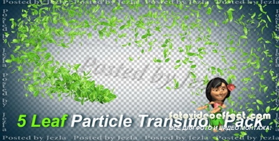 Футажи: 5 Leaf Particle Transition Pack
