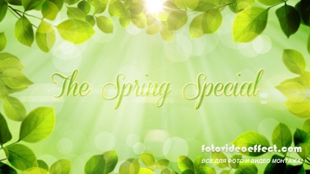 The Spring Special - Promo Pack - Project for After Effects (Videohive)