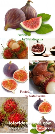 Инжир и Рамбутан / Fig and Rambutan - Stock photo