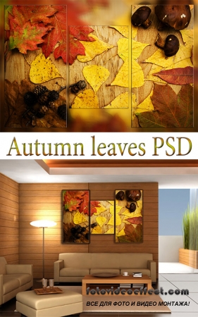 Triptyches: Autumn leaves PSD