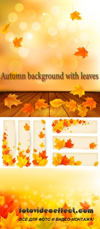  Stock: Autumn background with leaves
