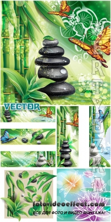    ,    / Spa background with stones, bamboo and butterflies - vector clipart