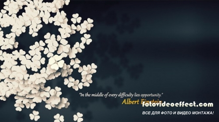 One Opportunity - Project for After Effects (Videohive)