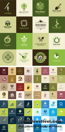 Stock: Set of icons for business, wine, wineries, food and drink
