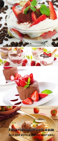 Stock Photo: Tiramisu dessert 