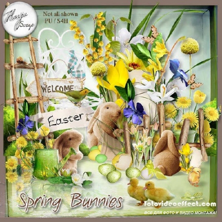  - - Spring Bunnies