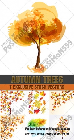 Листья и силуэты деревьев осенью | Leaves and silhouettes of trees in autumn, Вектор
