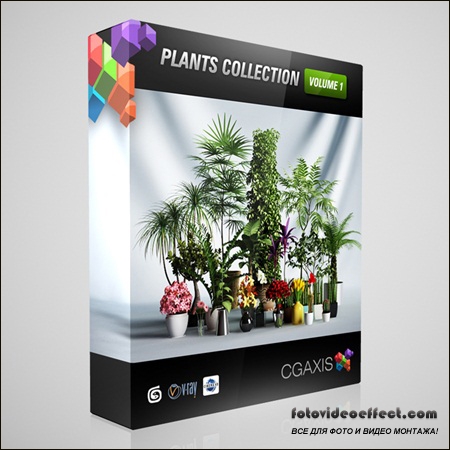CGAxis Models Volume 1 Plants