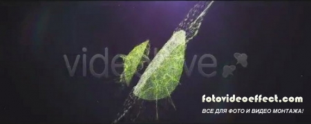 Pure Light - Project for After Effects (Videohive)