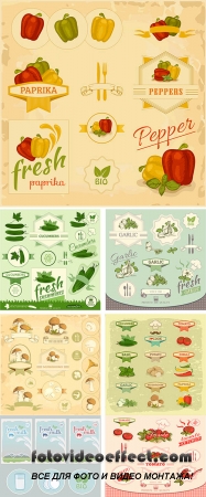 Stock: Paprika, pepper, vegetables, product label