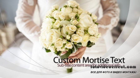 IvoryWedding - Project for After Effects (Revostock)