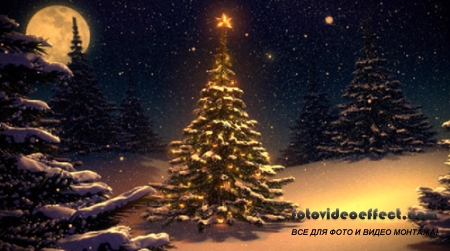 iStockVideo Winter landscape with Christmas tree vintage colors