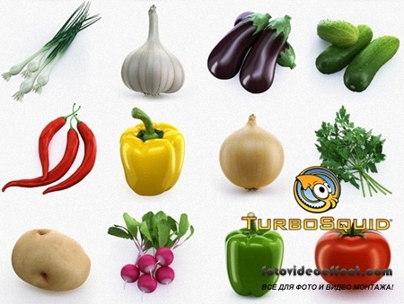 TurboSquid  Collection of Vegetables 