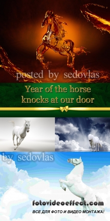 Year of the horse knocks at our door