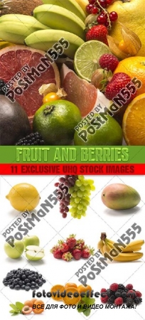    -   | Fruits and berries - Natural Vitamins,  
